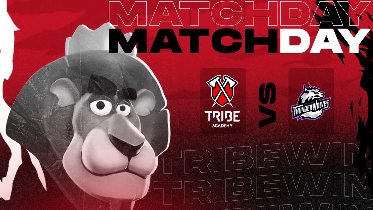 Tribe Academy ES tweet media
