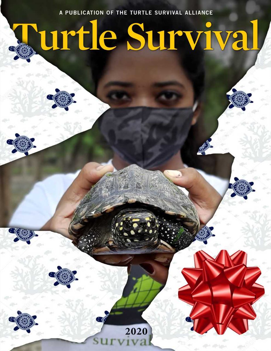 Tear it open, look inside, it's a TSA Membership surprise!

Look no further than the TSA for a last-minute holiday gift. With numerous membership levels, a Gift Membership is perfect for the turtle-lover in your life. Not only will they receive our 2020 annual publication,
