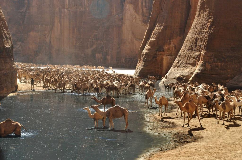Arabbeau's tweet photo. Republic of Chad https://t.co/ZnyguILMht