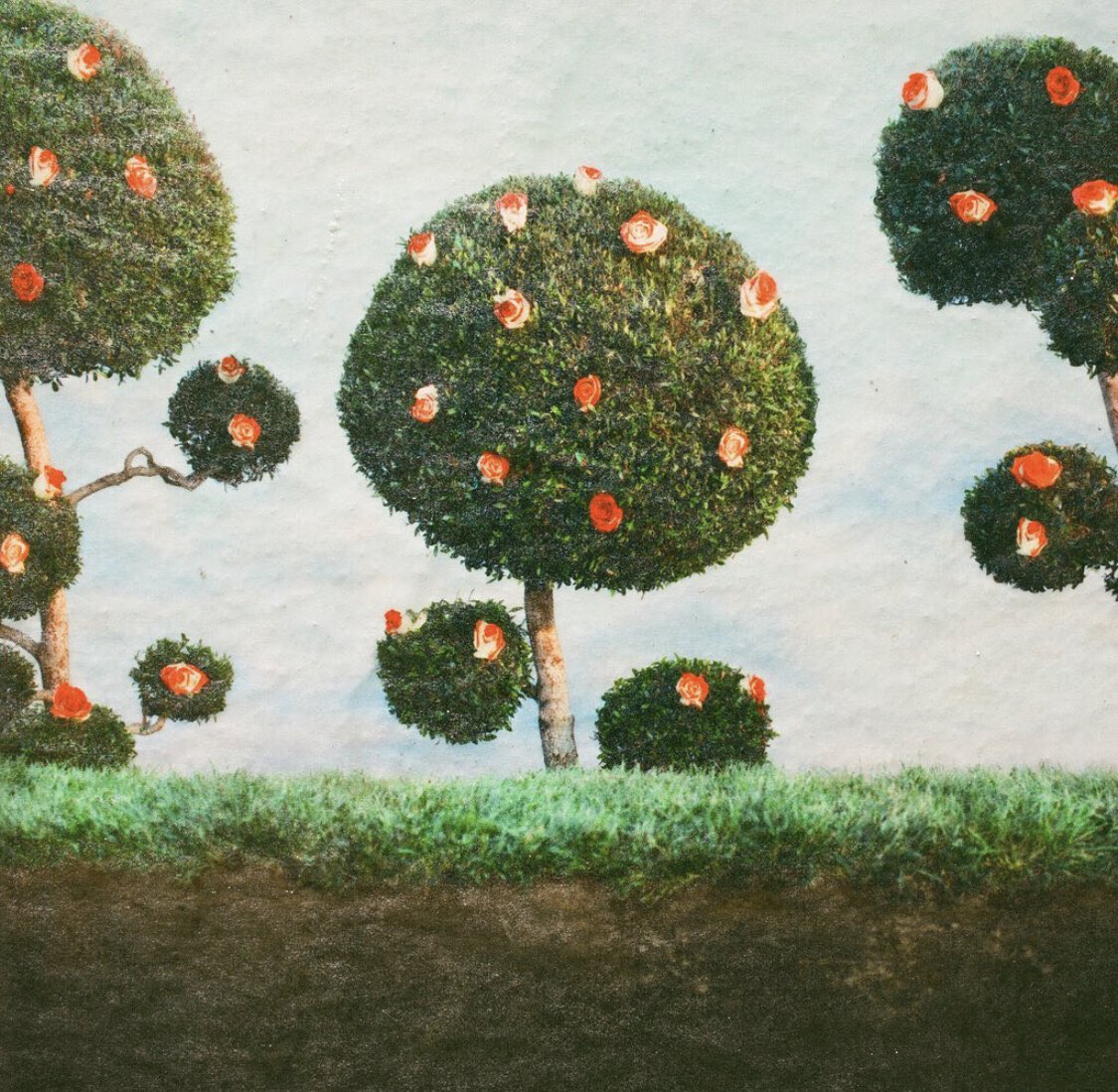 XAGXAGUXAR tweet media