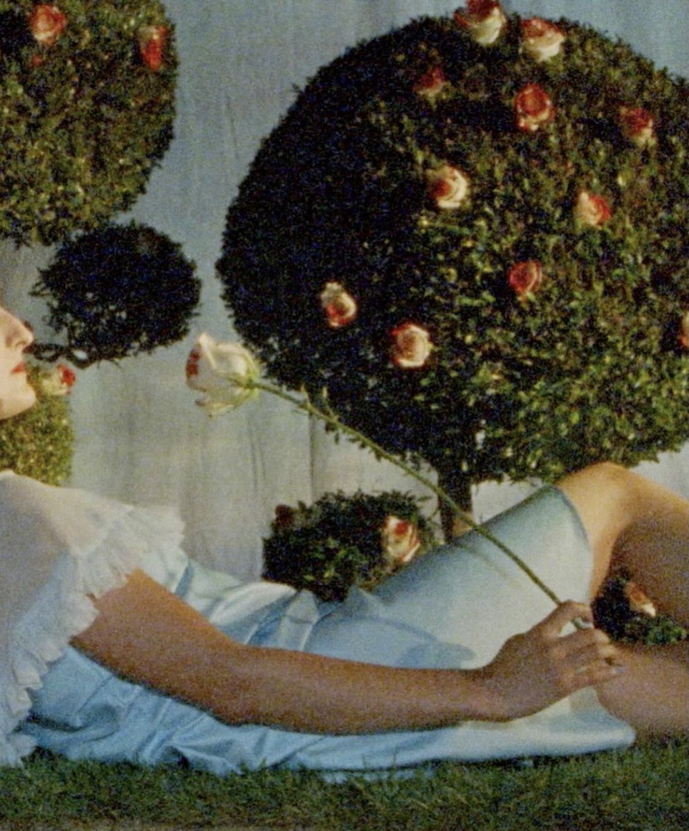 XAGXAGUXAR tweet media