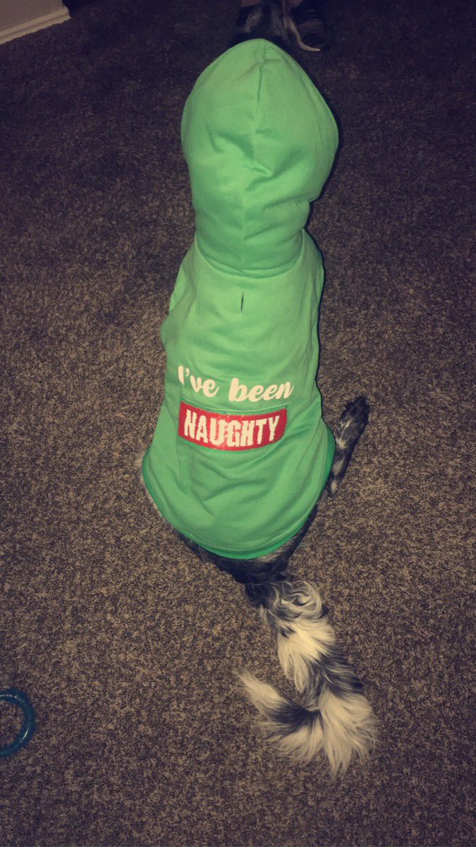 abbyj1014's tweet photo. @dog_rates @bestfriends @Trupanion https://t.co/iruVbnxEnj