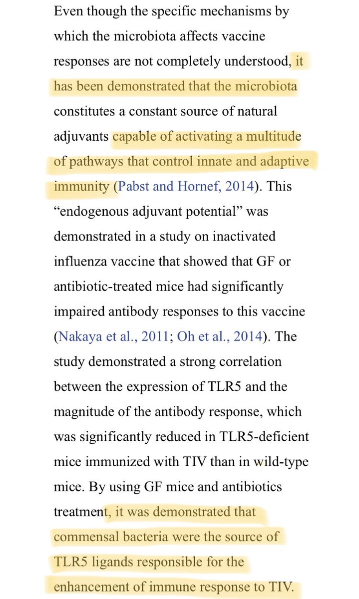  #DDDD  $LBPS This one specific study highlighting the potential ofLive Bio Therapeutics (Microbiome)To reactivate the immune system in -Elderly-Antibiotic Resistant Patients Improving efficacy of vaccinations to sufficiently generate Anti Bodies