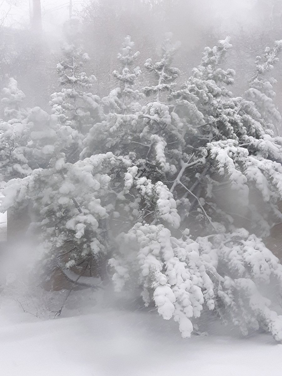 Paul Birnie tweet media