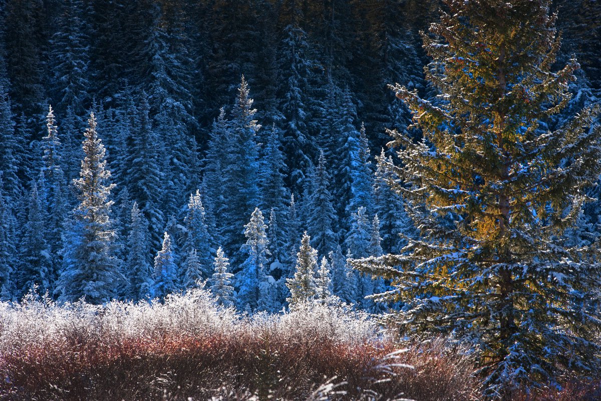 Paul Birnie tweet media