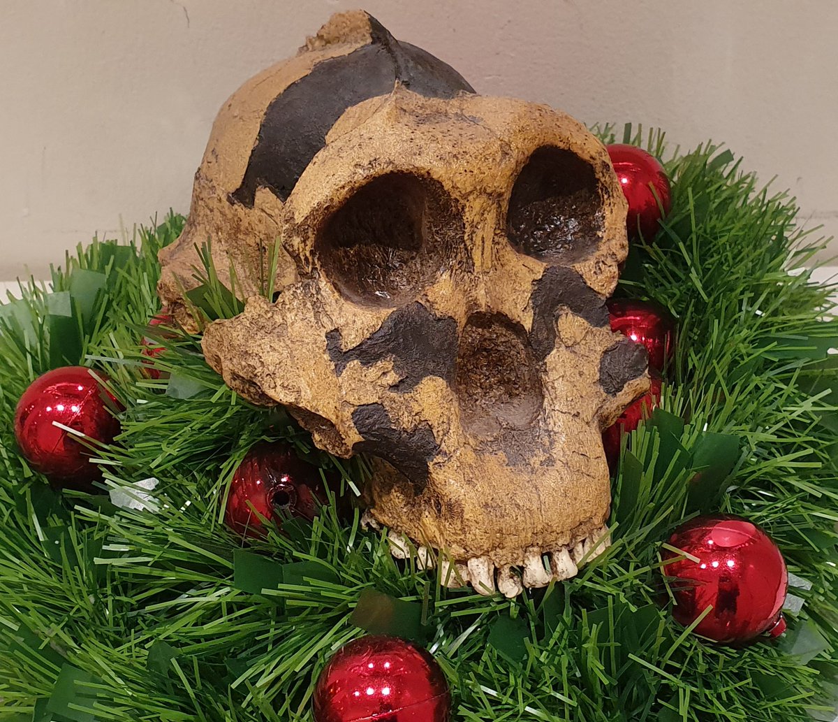 robertosaezm's tweet image. Cheers from Spain!! #NutcrackerMan