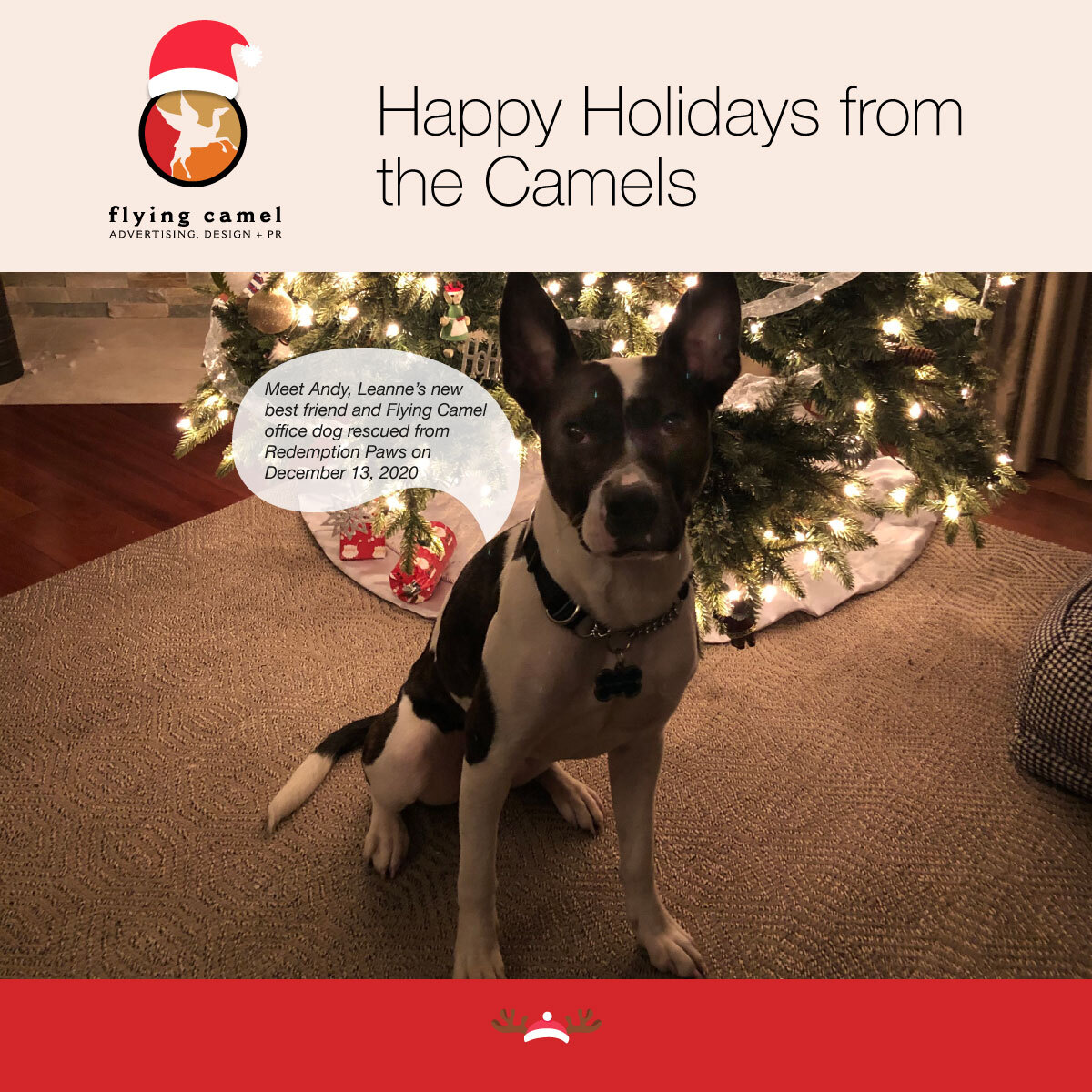 We're putting our best foot (..or paw) forward in 2021. 

On behalf of our clients, partners, and friends, the Flying Camel team has made two donations - to <a href="/RedemptionPaws/">RedemptionPaws</a> and <a href="/CAMHnews/">CAMH</a>, supporting animals and people in our communities. 

Wishing you a safe and happy holidays.