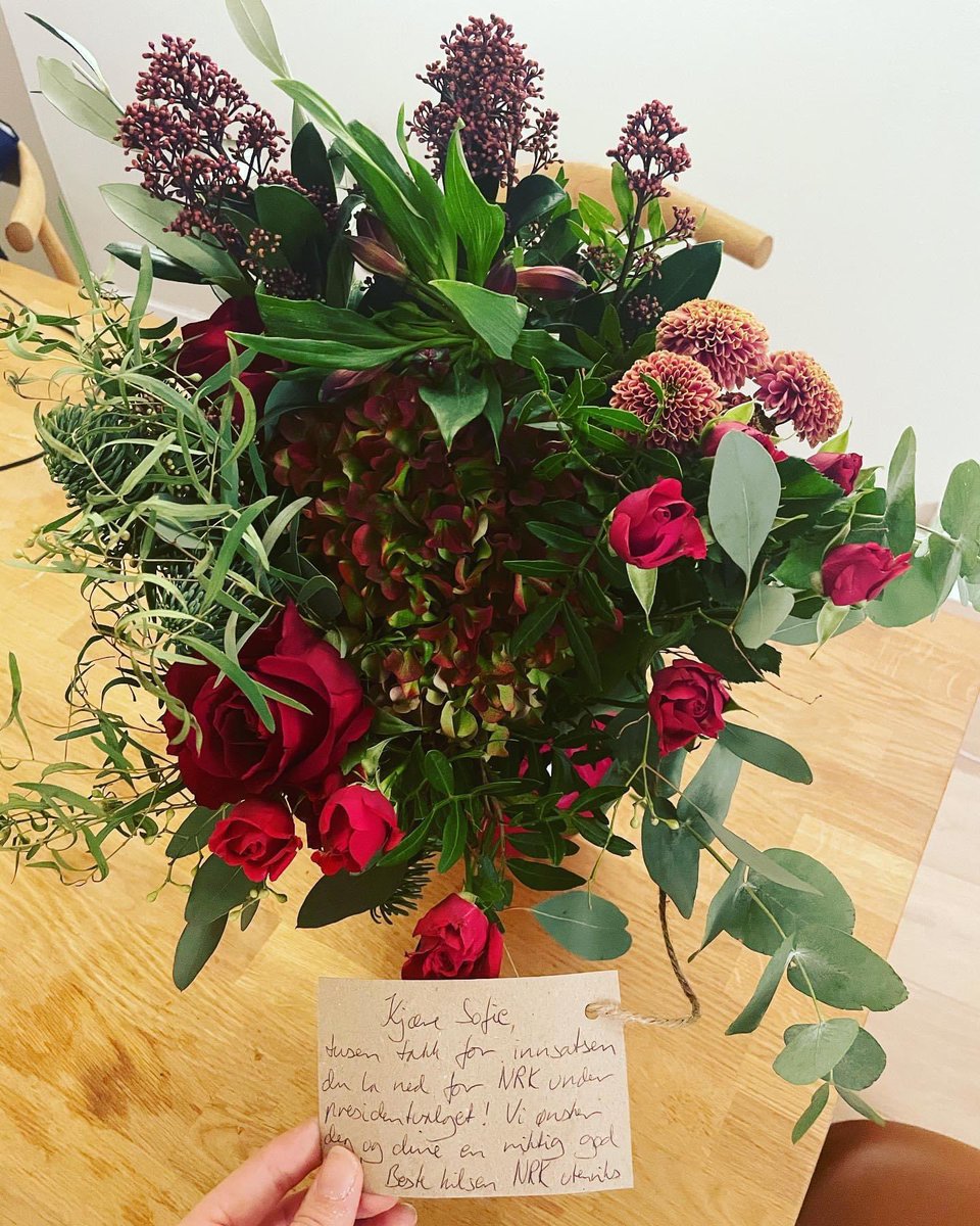 Sofie A. E. Høgestøl tweet media