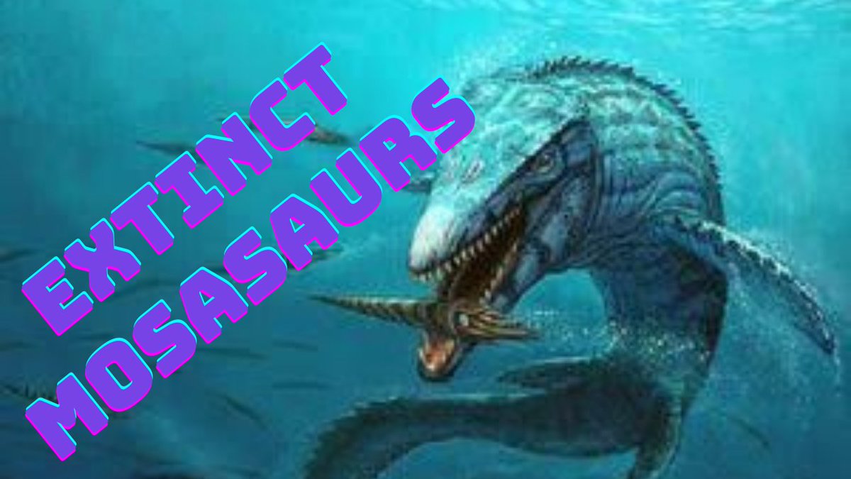 AnimalsReaching's tweet photo. See the main curiosities about this incredible extinct dinosaur predator.  The Mosasaur 

https://t.co/FmyITj1R4r

#dinosaurs #monsters #documentary #mosasaur #extinct #predators https://t.co/35cA7jjl9X