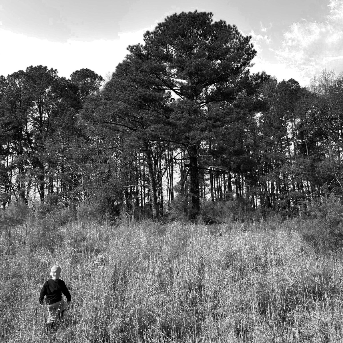 DougStewart919's tweet photo. The tree that stands out is the tree that has withstood the greatest winds. 

🌲🌲🌲🌲🌲🌬🌬🌬🌲

Is 2021 is the year to re-root yourself? 

————-
#newyear #newyearnewgoals #2021 #2021 #2021goals #raleigh #durham #mentorship #mentor #nature https://t.co/6QwB41JXxY