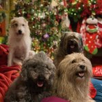Photo by Huw's There? (@HuwsThere)