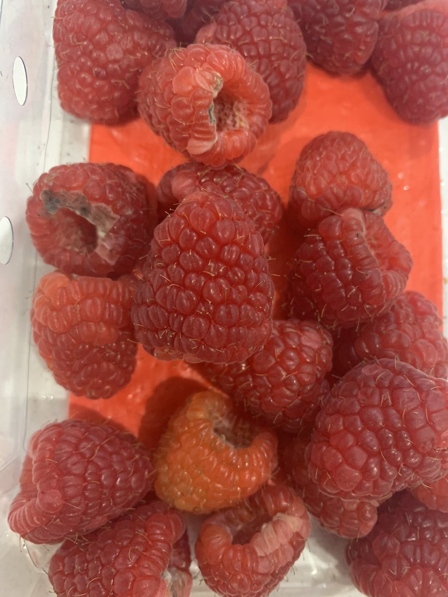 Vicky Farmer tweet media