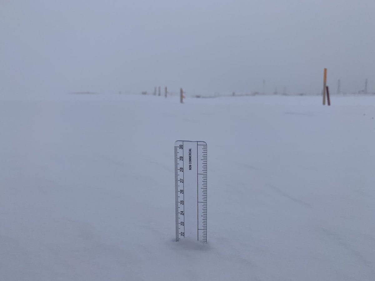 Almost 22 cms of snow in the backyard today. Can’t decide if I am excited at the possibility of building a snowman or really angry at having to shovel the driveway 🤔🤔🤔 #WelcometoCanada