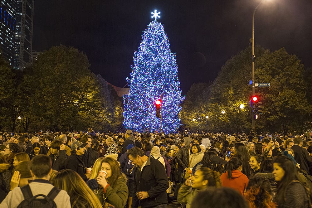 La Grange Crane is used to answering the call for projects of all kinds. Pulled from our archives, check out these images from a tree installation we assisted with on Michigan Ave! See the range of services we offer on our site: bit.ly/3ehqJnB