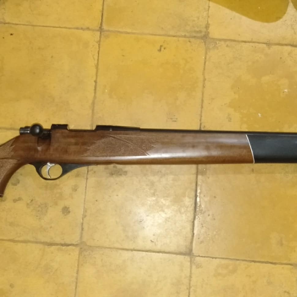 tansport airrifle tweet media