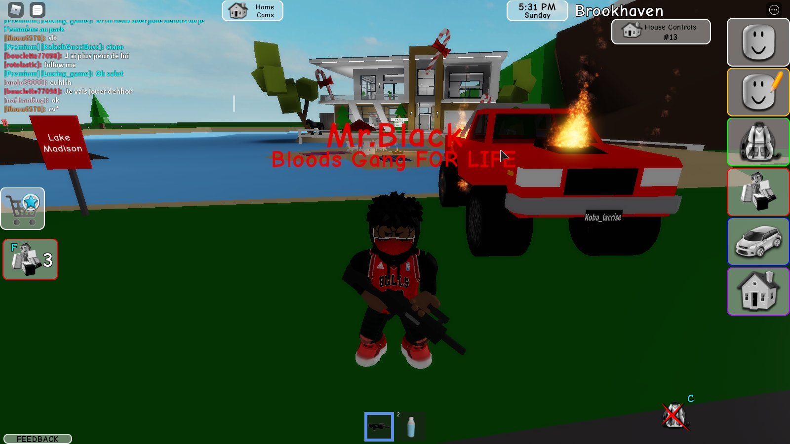 bloods gang na platformě X: „Brookhaven 🏡RP via @ROBLOX    / X