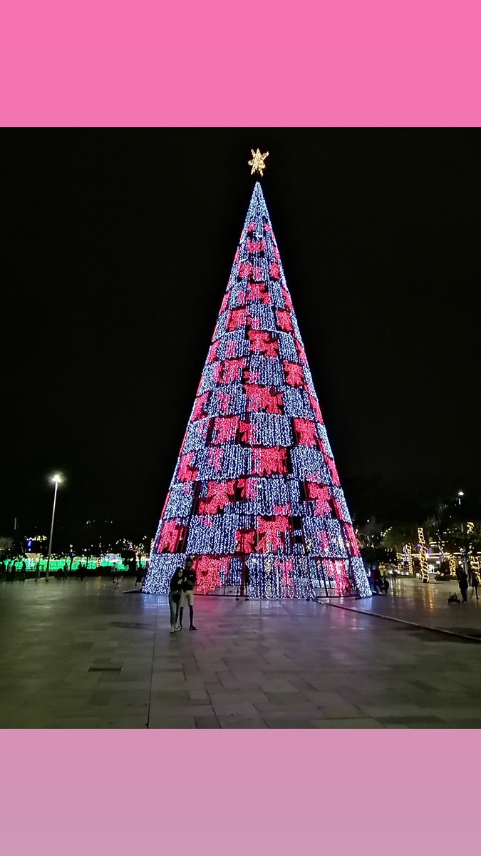 Mica0909's tweet photo. #christmas2020 #christmas #funchal #madeiraisland #portugal #christmastree #trees https://t.co/5or6VbcXqm