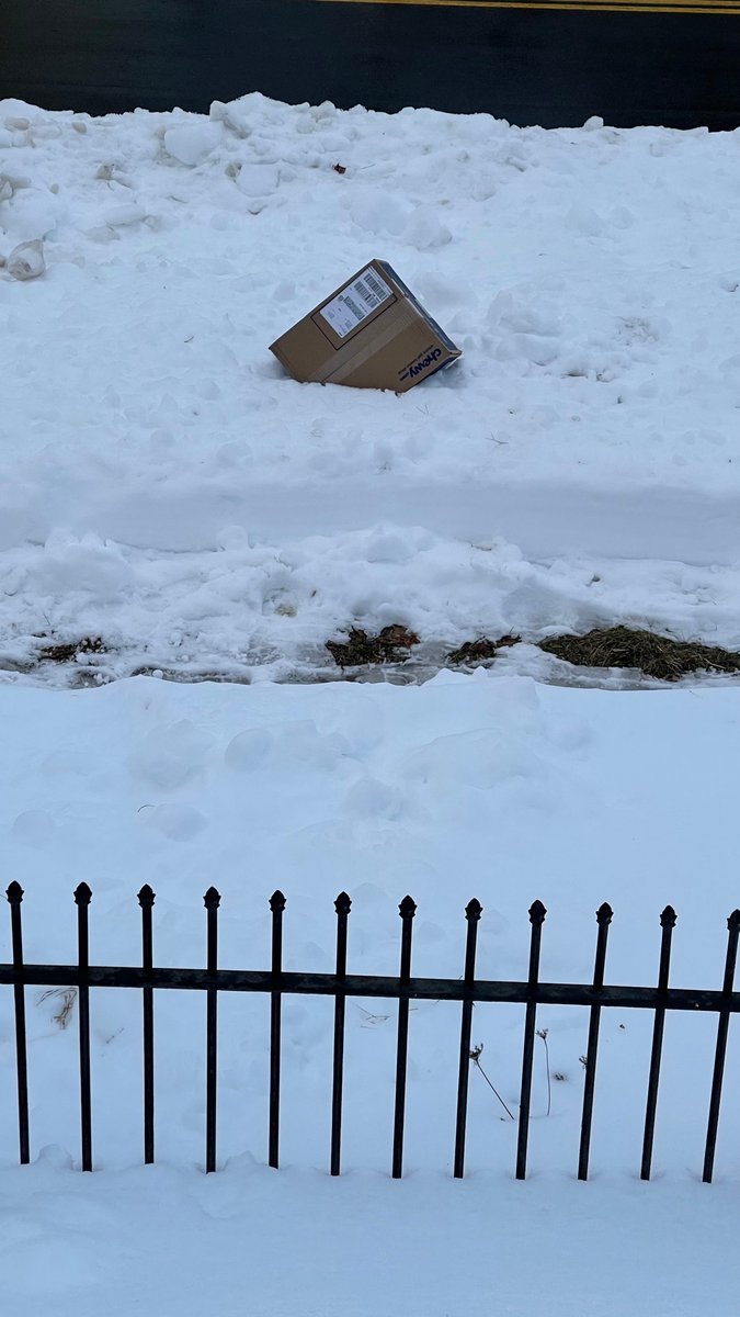 marionjross's tweet photo. Hey, @Chewy, this is how @FedEx delivers your packages. If they’d gone done another 8 feet, there was a cut out through the snow to the street. Instead, they literally threw my box in the snow. https://t.co/h05pmpUYze