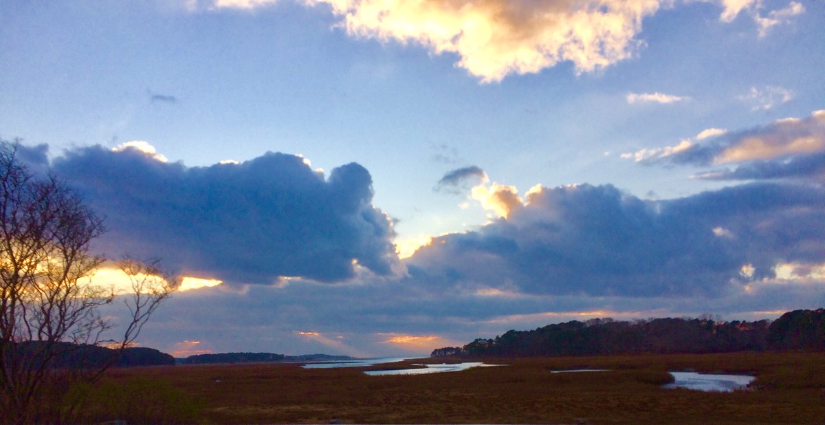 CapeCast tweet media