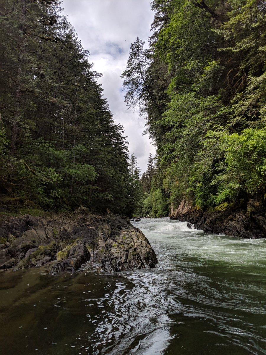 If you like your science delivered through soundwaves, consider listening to this podcast produced by Clare Atkinson where she and I discuss the work, the results, the limitations, and what it feels like to look up the mouth of the Ahnuhati River... https://anchor.fm/clare-atkinson/episodes/Assessing-the-State-of-Wild-Pacific-Salmon-entcoi