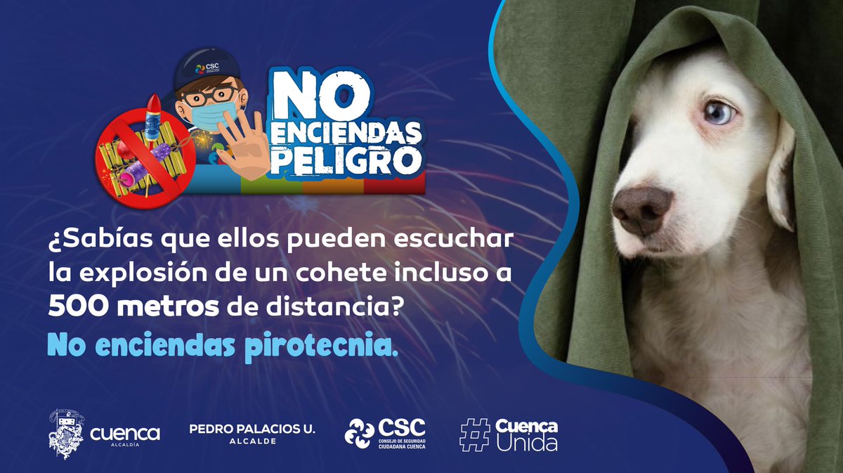 CSC_CUENCA's tweet photo. Nuestros amigos de cuatro patas también pueden ser víctimas de la pirotecnia. 

#NoEnciendasPeligro https://t.co/oRfqpfzSir