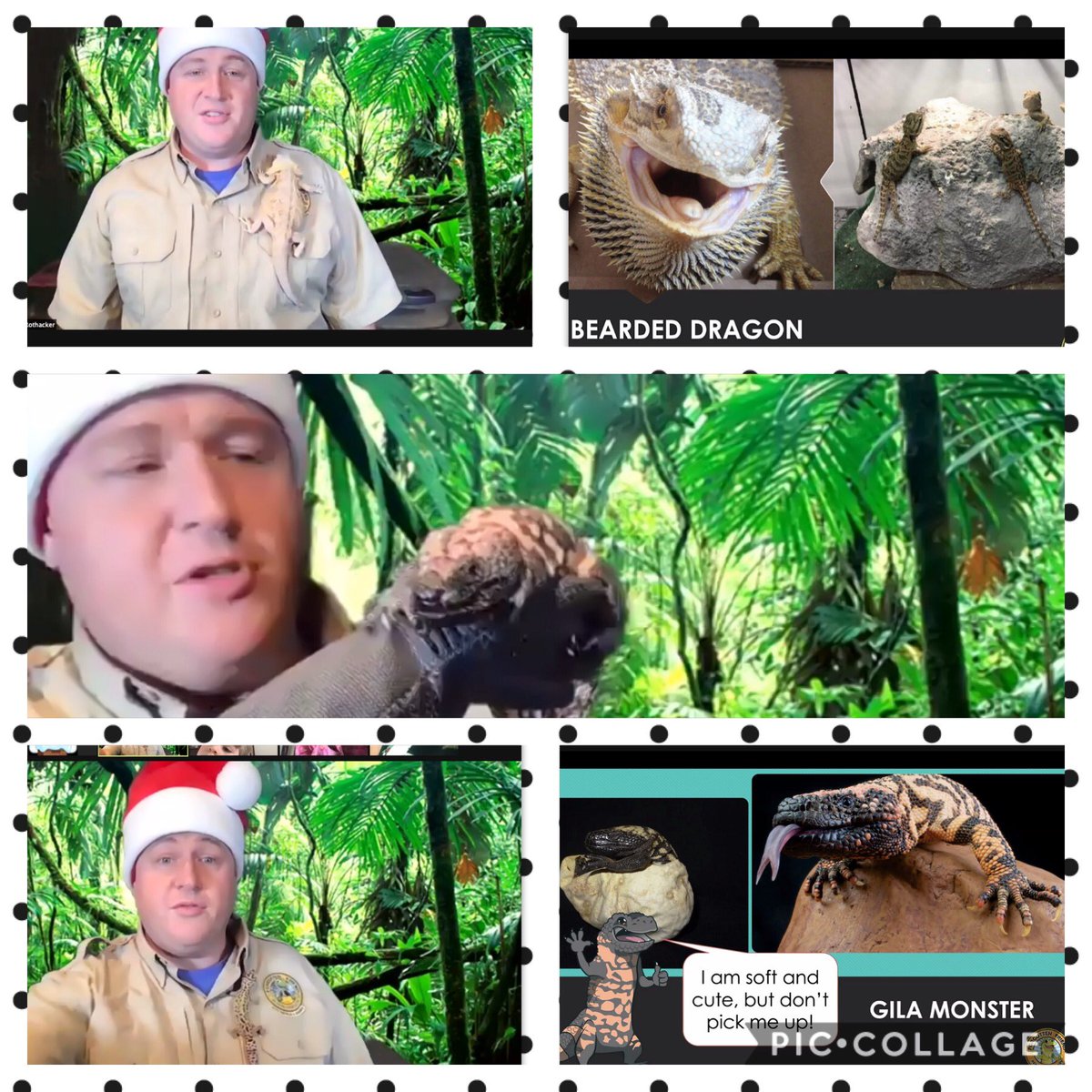 ELCO_Primary's tweet photo. Many thanks to Mr. Jesse Rothacker and our PTO for an AWESOME virtual assembly!!!! #ForgottenFriends #together_we_are_jackson https://t.co/XqUhZ0lvhM
