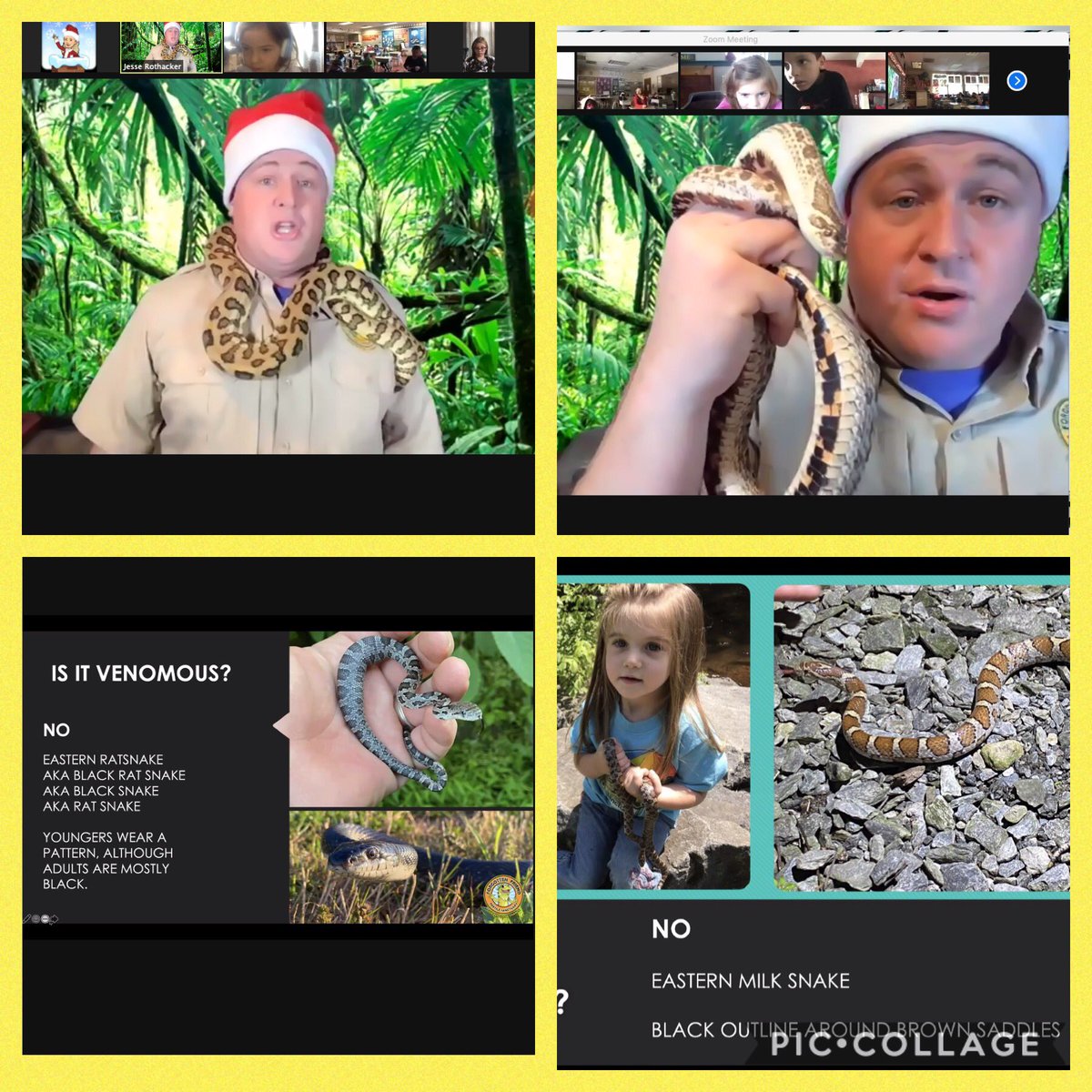 ELCO_Primary's tweet photo. Many thanks to Mr. Jesse Rothacker and our PTO for an AWESOME virtual assembly!!!! #ForgottenFriends #together_we_are_jackson https://t.co/XqUhZ0lvhM