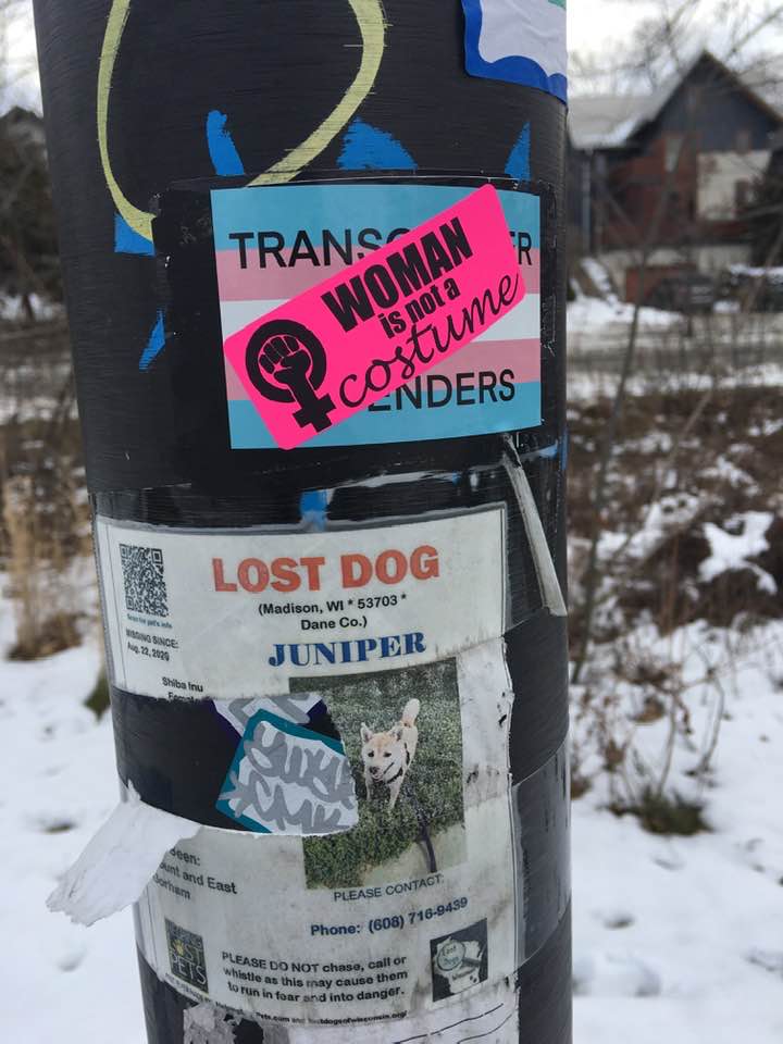 radfemradio's tweet image. As seen in an American city near you! #stickerwars #WLRN