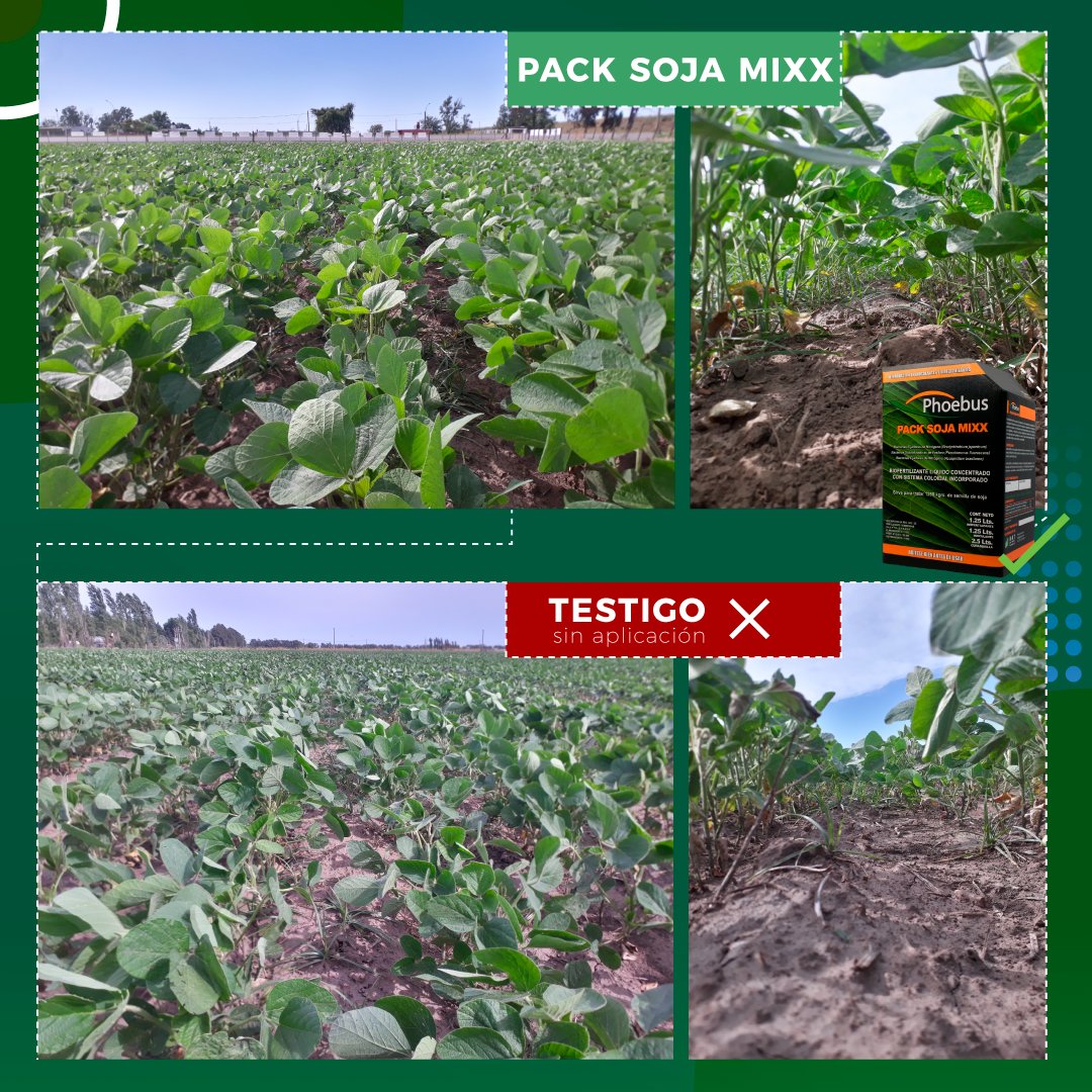 Agro AT tweet media