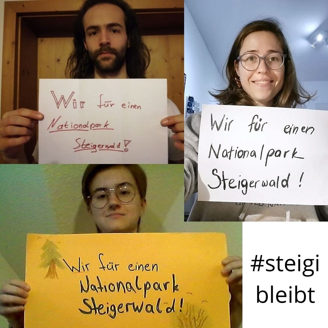 #steigibleibt #nationalparksteigerwald #rettetdiebuchen