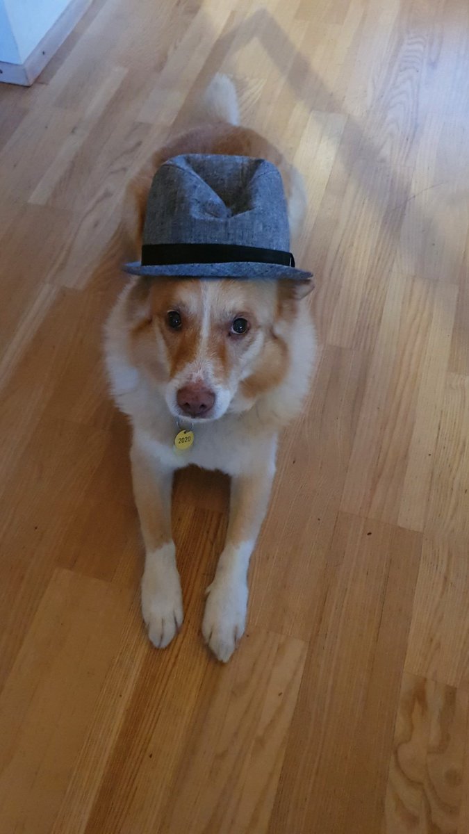 First pic 2020 vs. last week 🥺