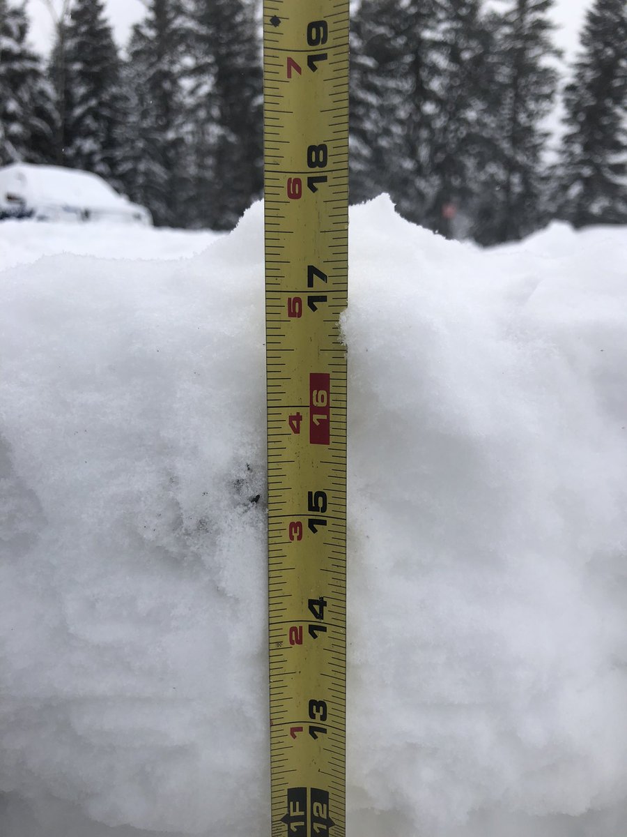 Priddis Greens Turf Care tweet media