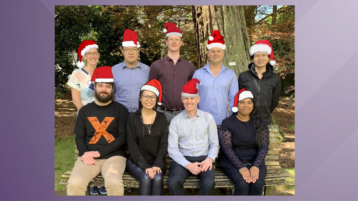 DataMasque tweet media