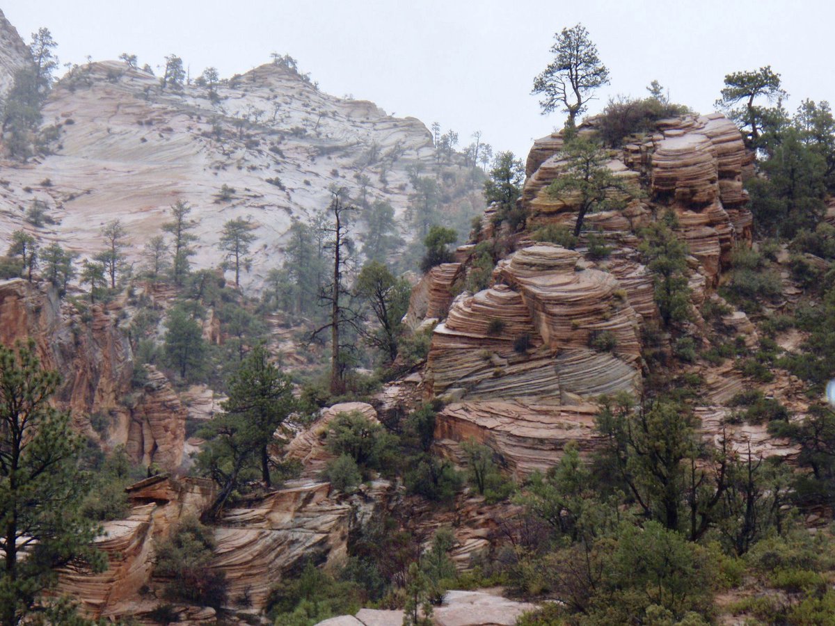 emilylarkin70's tweet photo. A crazy landscape of petrified sand dunes in Zion National Park (under a light dusting of snow). Wonderful, isn't it?
#wanderlust https://t.co/J6DgVxqVtQ