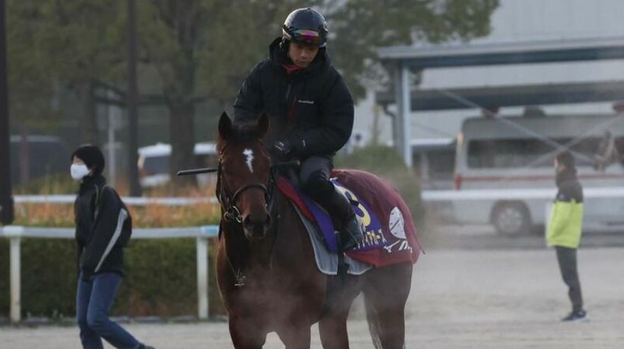FrankelWatch13's tweet photo. Satoshi Hiratmasu shared this wonderful picture of TRAINER @MitsuNakauchida aboard his Gr1 winning FRANKEL colt GRENADIER GUARDS

Mitsu-san considers Bobby FRANKEL  as his mentor and worked for him when he was still in his 20s.

Grenadier Guards' win is deeply emotional for him. https://t.co/z3Lavj4hHc