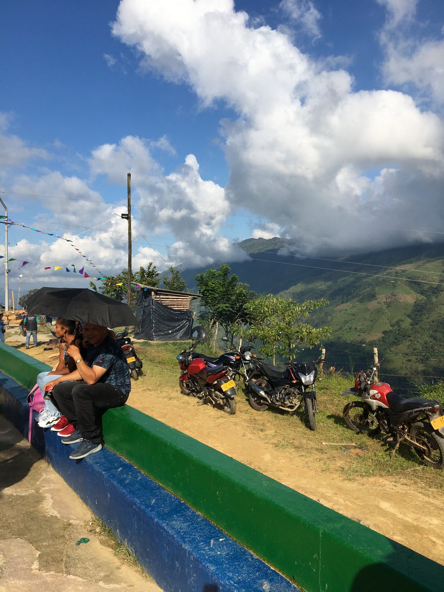 When the opportunity to leave the coca economy came,  #Briceño overwhelmingly seized it. Entire communities signed up to substitute their crops; to avoid conflicts between themselves, they decided it was all of them or no one.