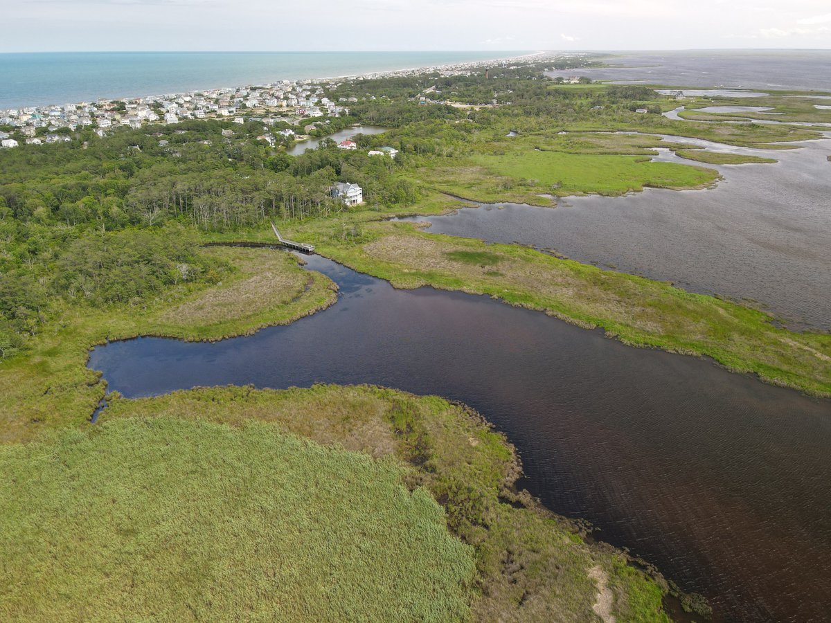 NCReserve's tweet photo. Our #CoastalTrainingProgram pivoted in 2020 to offer virtual workshops for coastal NC communities. Nine workshops allowed 617 professionals to better understand nature-based solutions, low impact  protect water quality, barrier island development &amp; virtual meeting facilitation. https://t.co/XksJTelQeR