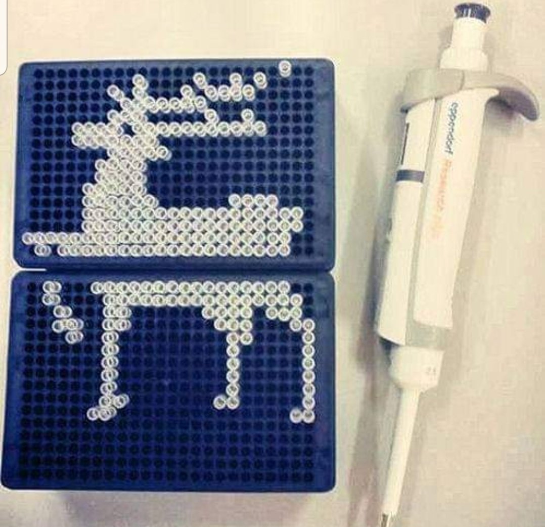 tiziana_sgamma's tweet photo. Really really missing being in my lab ... https://t.co/5FR2WPyBb7