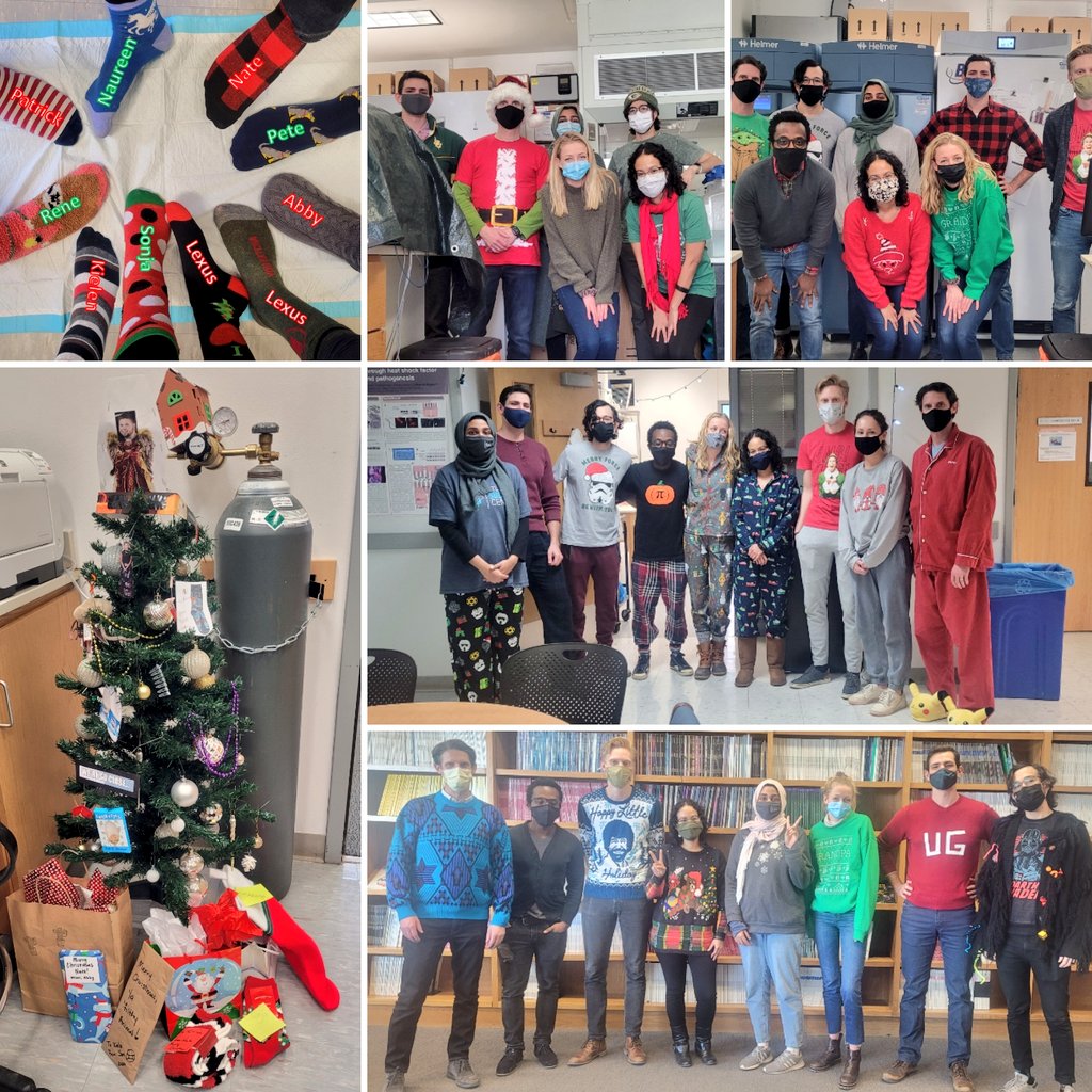 TheDouglasLab's tweet photo. Celebrating five days of holiday cheer in the Douglas lab:
Day 1: Holiday socks
Day 2: Holiday pajamas
Day 3: Holiday Tshirt & jeans
Day 4: Ugly sweater
Day 5: The Grinch
Merry Christmas from our lab to yours πππ
π²π€Άπ
#Christmas #Science #TheDouglasLab #WeMakeScienceFun https://t.co/uiq2u4PNE3