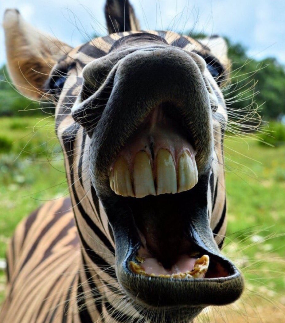 Will you always be my friend?