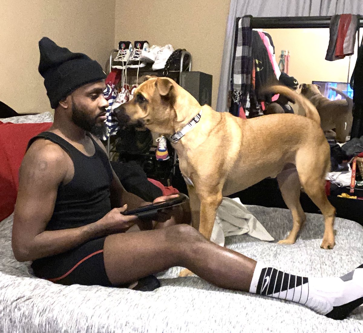 dapooch84's tweet image. 