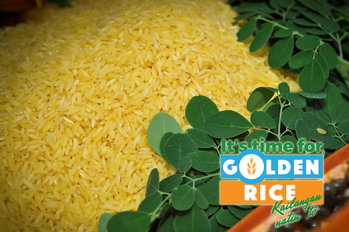 MalusogRice's tweet photo. Follow us on Facebook! 🌾Golden Rice Ph🌾
https://t.co/q4MON0zzkS
Let your support for the approval of Golden Rice be heard! Send an email to: bpibiotechsecretariat@gmail.com
#ItsTimeForGoldenRice #GoldenRicePH #GoldenRiceAprub https://t.co/PZOxS1x6FX