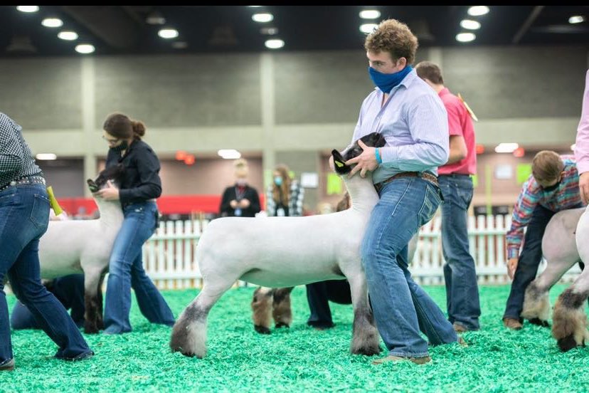 thegarrettboone's tweet image. Go vote me for Sheep Showman of the year.