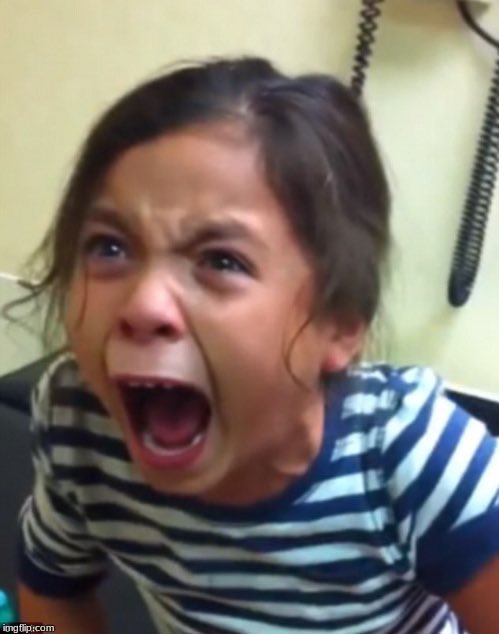 Kasey Schaffer tweet media