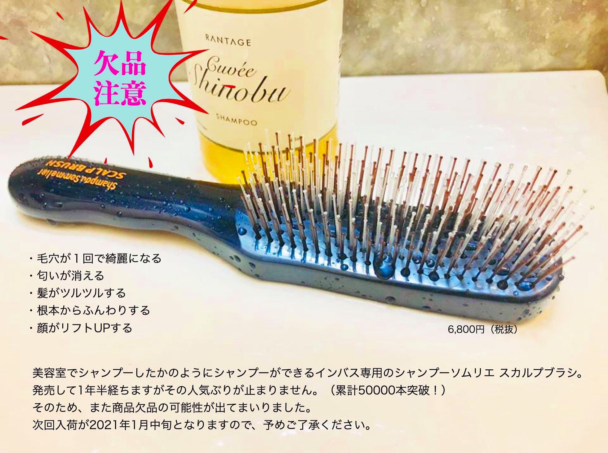 新品 送料込 シャンプーソムリエ スカルプブラシ 髪や頭皮におすすめのシャンプー専用ブラシ 最大74 Offクーポン シャンプーソムリエ 新品 送料込 シャンプーソムリエ スカルプブラシ 髪や頭皮におすすめのシャンプー専用ブラシ 最大74 Offクーポン シャンプーソムリエ