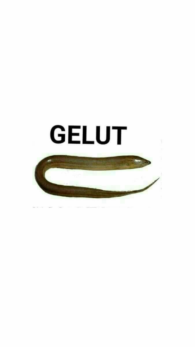 Hujan tweet media