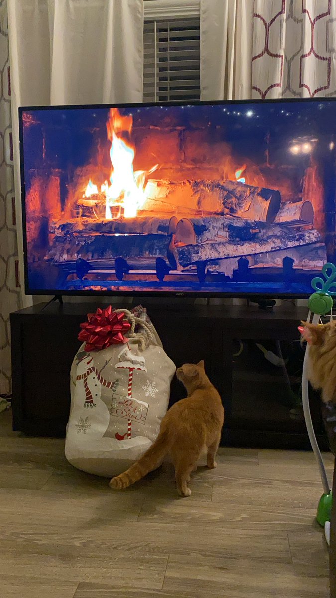 BigPapi2Most's tweet image. George Ford really knows how to set the tone, this Birchwood Fire is no joke!