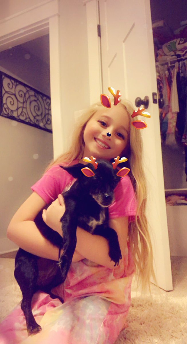 GreatPyrMomma's tweet photo. Gotta show love for my other baby!! #oldlady #dogmom #snapchatdogfilter #momlife #christmasfilter #dogfilter #chihuahua #pekingese #mixeddog #chihuahuapekingesemix #8yearsold #greying #goodgirl https://t.co/NnGCqkQDL6