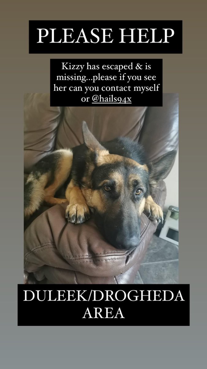kimkav97's tweet photo. Please help us get Kizzy home, 1 year old German Shepard. https://t.co/9NZq4Uba1p