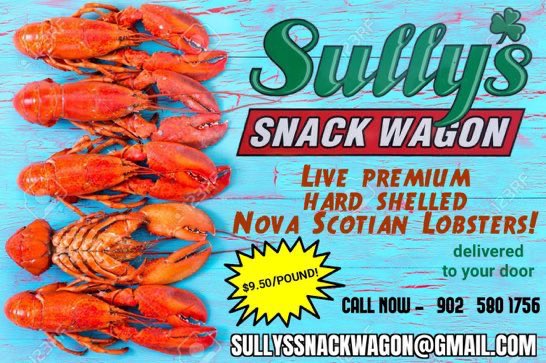SullysBeef's tweet photo. Get your Christmas lobster delivered to your door for $10.50 pound - Hard Shelled South Shore premium lobster - quantity is limited - please retweet https://t.co/DcMQ1XDx8j
